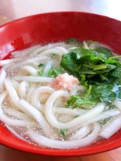 たらこあんかけうどん-レシピのメイン写真