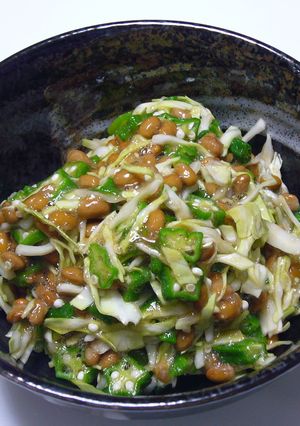 ねばねば*我が家の納豆和え-レシピのメイン写真