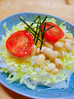 ハクサイのsalad-レシピのメイン写真