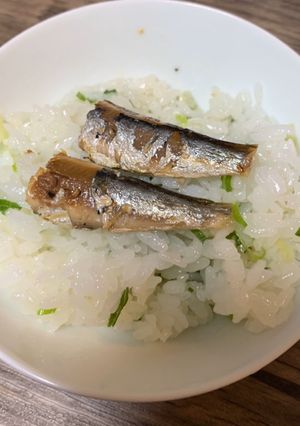 オイルサーディン缶で簡単ご飯-レシピのメイン写真