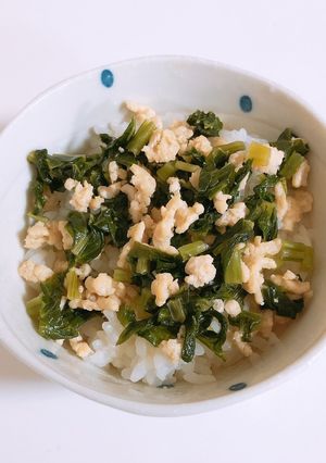 【離乳食】栄養満点♪小松菜と鶏ひき肉丼-レシピのメイン写真