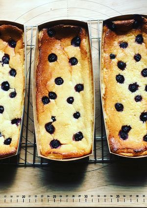 ブルーベリーチーズケーキ-レシピのメイン写真