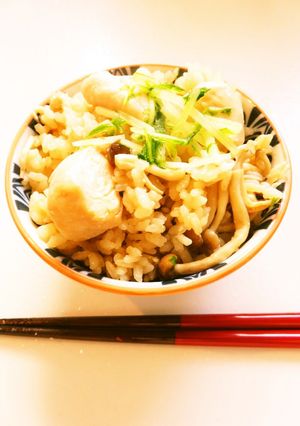 ☺鶏ささみで簡単♪シンプルな鶏めし☺-レシピのメイン写真