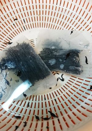 乾燥ひじきの戻し方-レシピのメイン写真