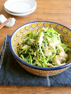 ささみと豆苗のシャンタン胡麻和えナムル風-レシピのメイン写真
