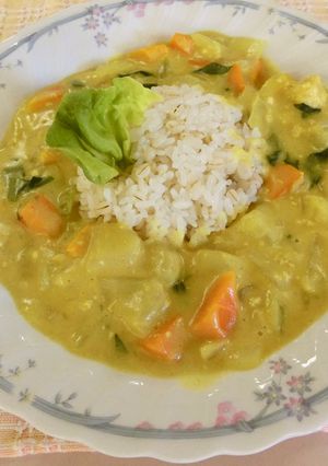 ノンオイルカレー-レシピのメイン写真