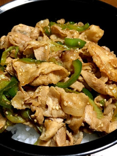 ☆甘辛ねぎ豚丼-レシピのメイン写真