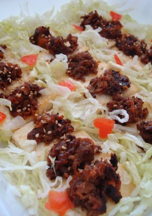 豆腐の赤味噌肉炒め乗せ-レシピのメイン写真