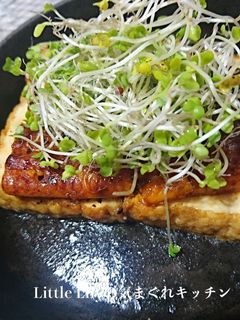 厚揚げうなぎ-レシピのメイン写真