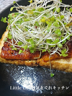 厚揚げうなぎ-レシピのメイン写真