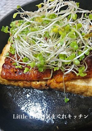 厚揚げうなぎ-レシピのメイン写真
