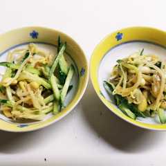 รูปของ 粉末味噌で作るもやしときゅうりのナムル