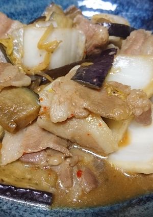 白菜と茄子のみりん醤油炒め-レシピのメイン写真