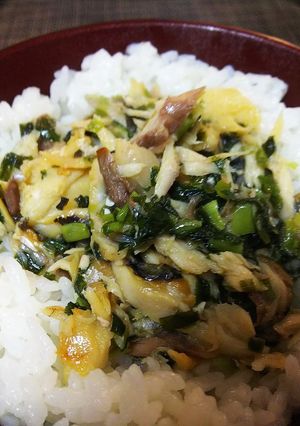 簡単美味・塩鯖と葱のそぼろ丼-レシピのメイン写真