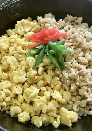 美人レシピ・そぼろ丼-レシピのメイン写真