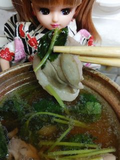 リカちゃん♡鴨鍋 ごぼう みつばverꕤ-レシピのメイン写真