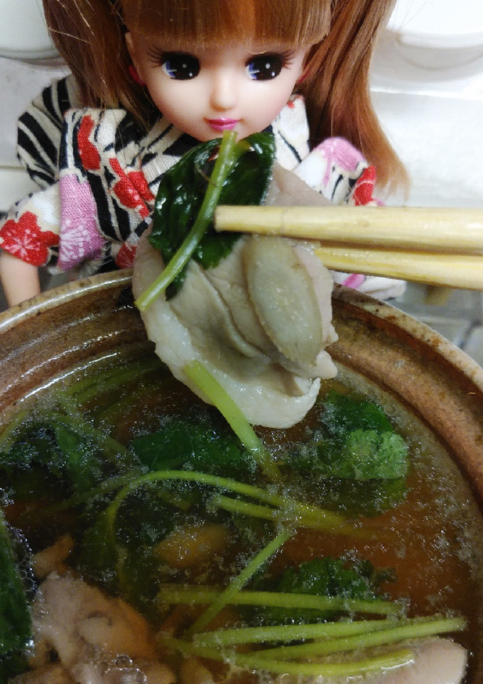 リカちゃん♡鴨鍋 ごぼう みつばverꕤ-レシピのメイン写真