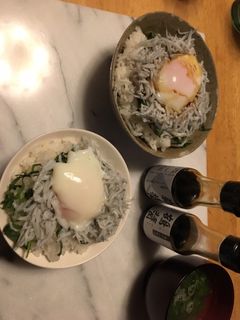温泉卵で釜揚げしらす丼-レシピのメイン写真