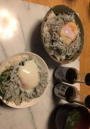 温泉卵で釜揚げしらす丼-レシピのメイン写真