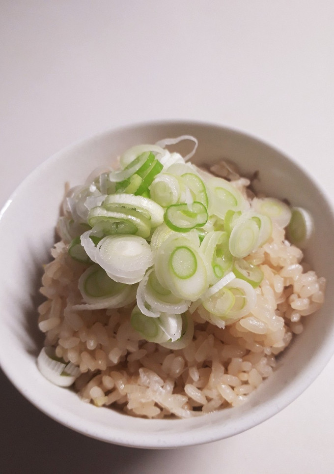 長ネギとゴボウだけの炊き込みご飯-レシピのメイン写真