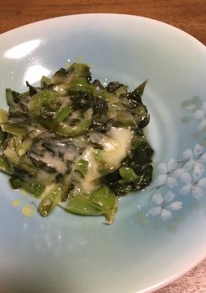 高菜漬けのチーズ焼き-レシピのメイン写真
