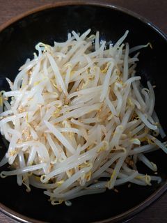 豆モヤシ ナムル-レシピのメイン写真