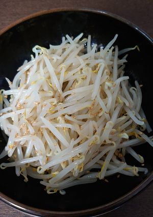 豆モヤシ ナムル-レシピのメイン写真