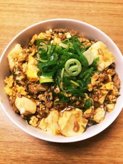 腸まで届くマボ玉豆腐丼-レシピのメイン写真
