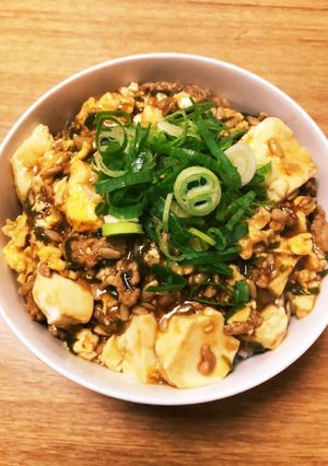腸まで届くマボ玉豆腐丼-レシピのメイン写真