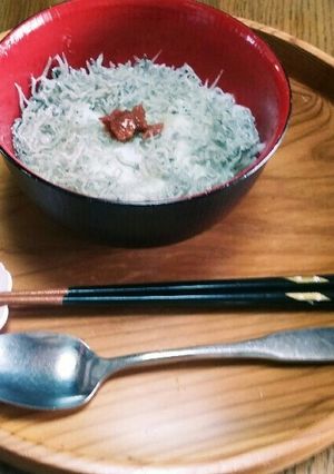 シンプルに☺ちりめんじゃこと梅干のおかゆ-レシピのメイン写真