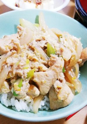 ダブルネギのあつあつ親子丼-レシピのメイン写真
