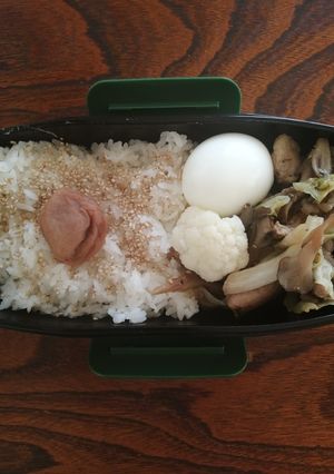 旦那弁当40『豚肉のオイスター炒め弁当』-レシピのメイン写真