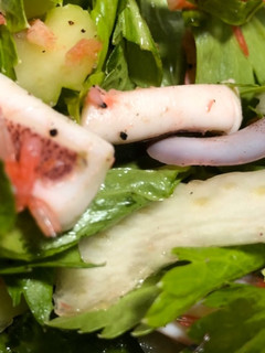 セロリとイカ、サクラエビのレモン風味-レシピのメイン写真