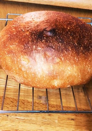 ゴパンでかんたん、はるみのこねないパン-レシピのメイン写真