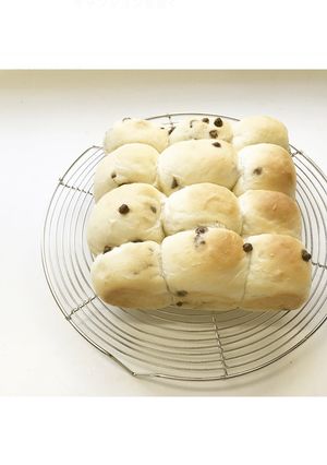 しっとりもちもち　チョコチップちぎりパン-レシピのメイン写真