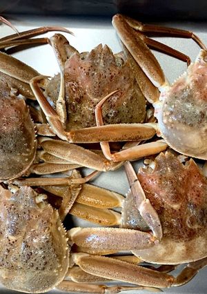 【基本】ズワイガニを蒸す(雄、雌共通)-レシピのメイン写真