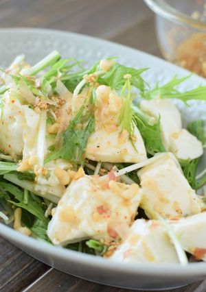 ～自家製ドレ～豆腐と水菜の居酒屋サラダ-レシピのメイン写真