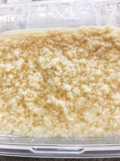 乾燥麹で簡単甘酒-レシピのメイン写真