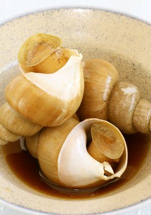 バイ貝の煮つけ-レシピのメイン写真