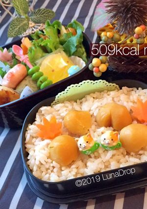 玄米栗入りご飯 中学生 秋弁当 詰め方-レシピのメイン写真
