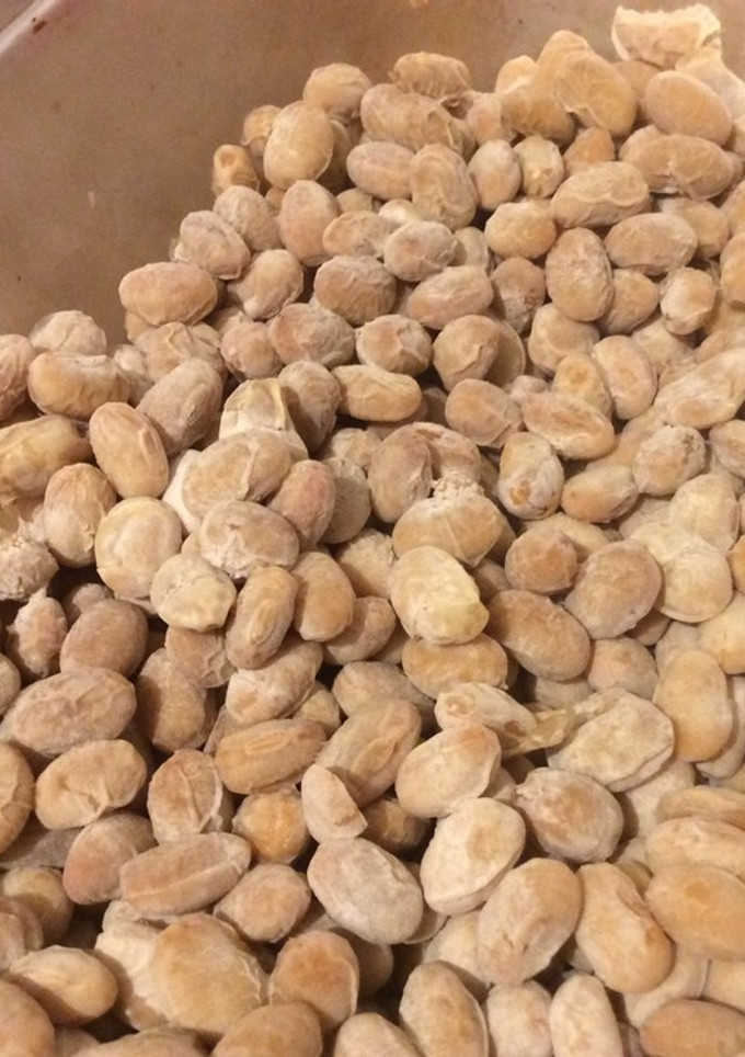 市販の納豆菌使用！自家製納豆-レシピのメイン写真
