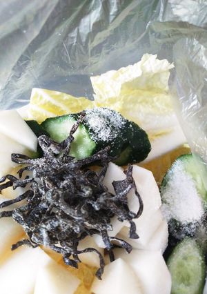 カブ、きゅうり、白菜の塩昆布浅漬け-レシピのメイン写真