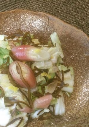 みょうがときゃべつの万能こんぶ和え-レシピのメイン写真