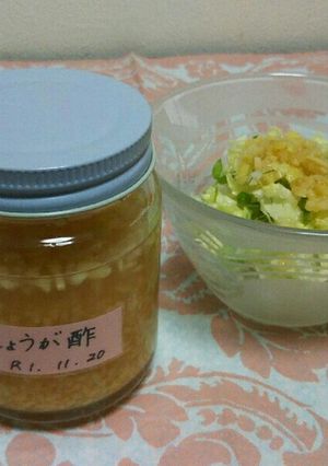 万能調味料!しょうが酢!-レシピのメイン写真