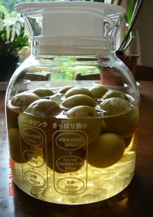 母の梅サワードリンク-レシピのメイン写真