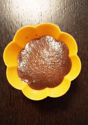 ココアと牛乳だけでチョコアイス❗️-レシピのメイン写真