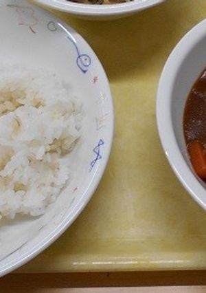 洋食店アリアケのハヤシライス-レシピのメイン写真