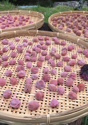 青梅の梅干し-レシピのメイン写真