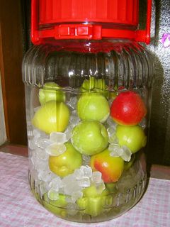 初めての梅シロップ♪-レシピのメイン写真