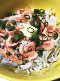 のせるだけ!釜揚げしらす&桜えび丼-レシピのメイン写真